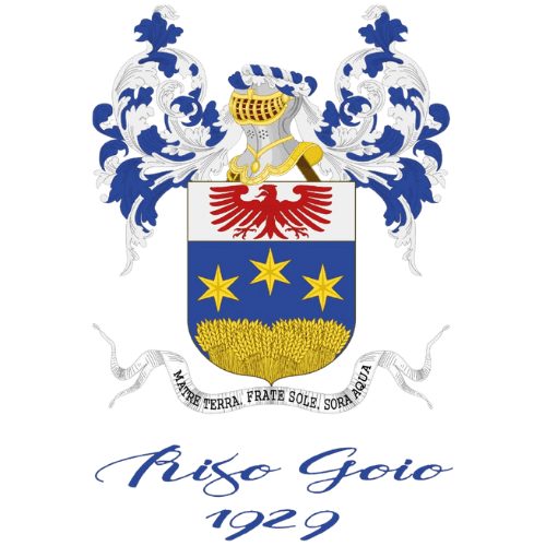 Progetto senza titolo (17)